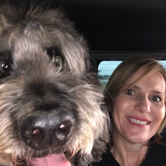 Meet your Posher, Sandy - Picture 5 of 16